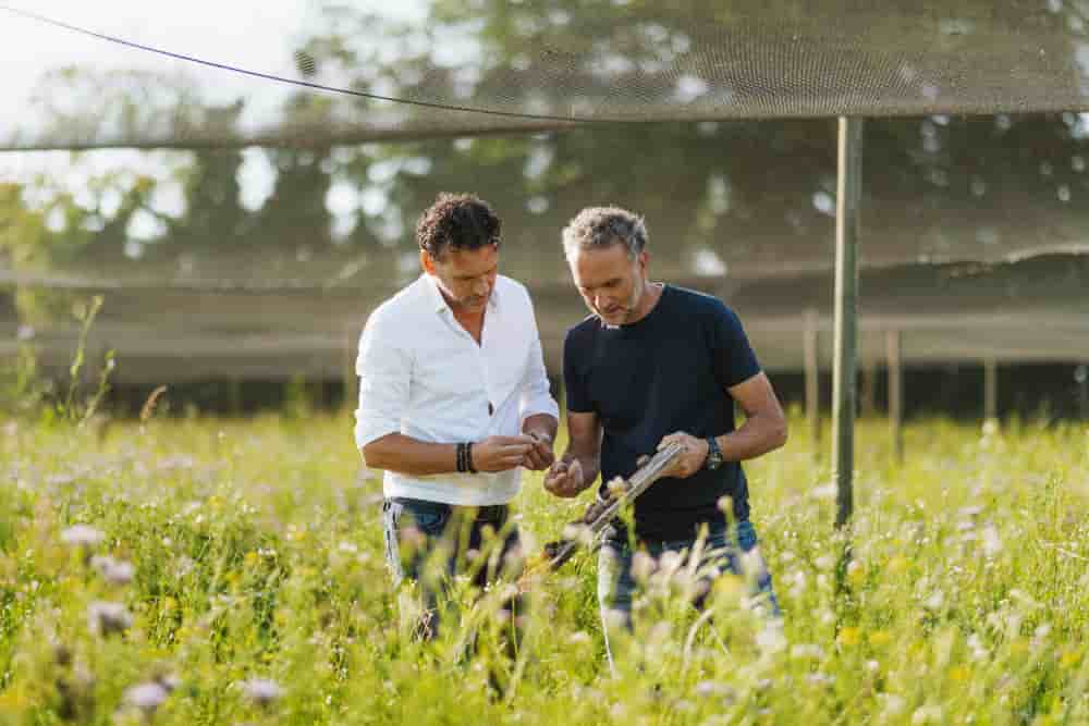 Sébastien et Olivier Royer sont les fondateurs de Royer Cosmétique (Vendée).