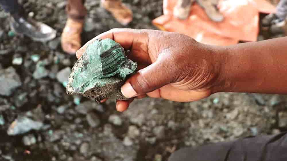 Depuis la levée de l’embargo le 16 octobre 2025, le gouvernement congolais a mis en place un système de quotas à l’exportation visant à réguler le secteur.