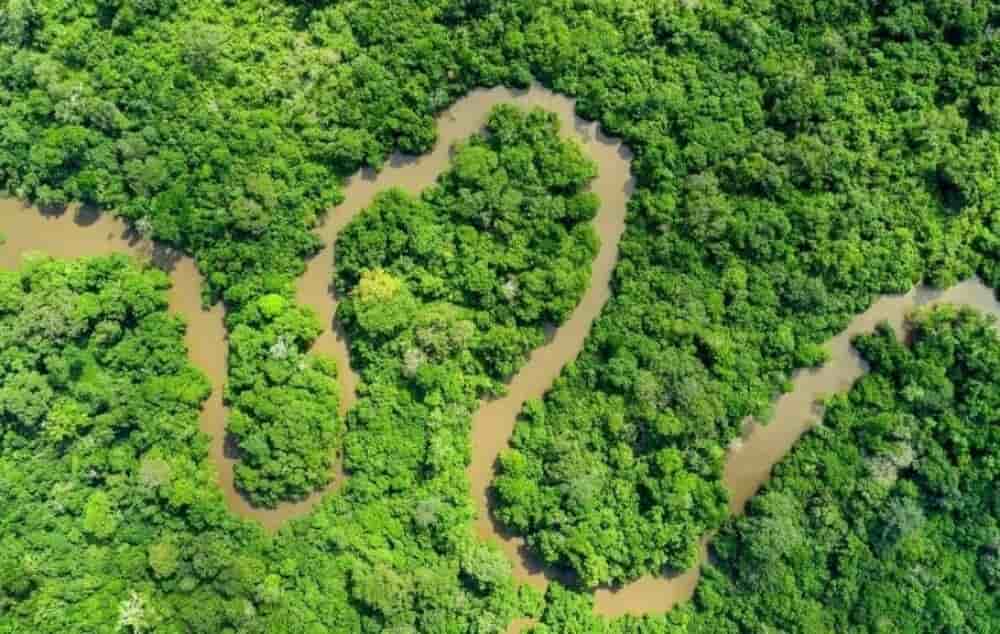 Vue aérienne de la forêt du Bassin du Congo, 2e plus grande forêt tropicale humide de la planète