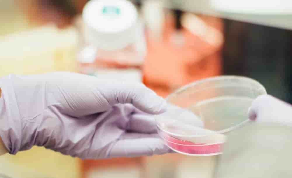 Positionnée sur l'immuno-oncologie, la bioteh basée à Marseille entre en phae d'accélération