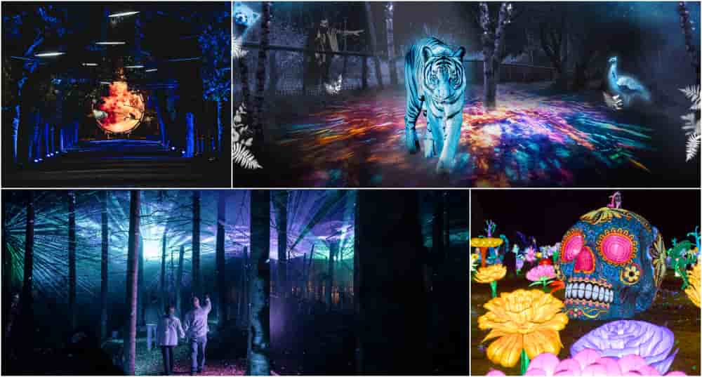 Un peu partout en France, les parcours lumineux séduisent de plus en plus et illuminent nos hivers.
