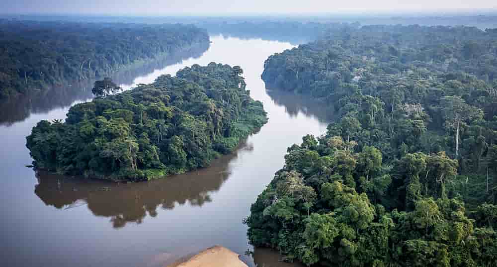 La rivière Sangha, un affluent du fleuve Congo.