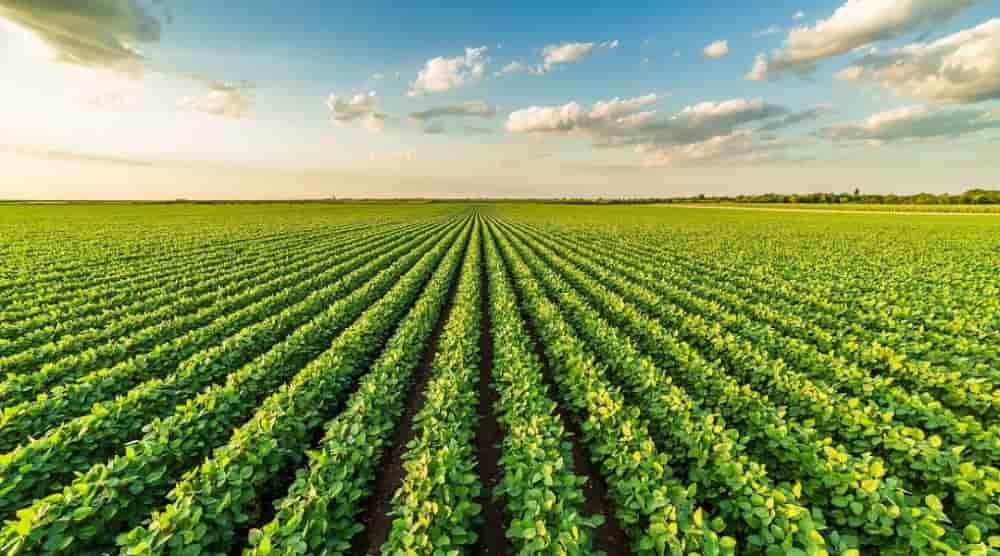 L’agriculture marocaine reste encore sous-financée, malgré un énorme potentiel.