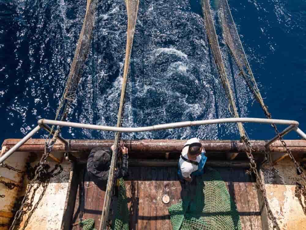 Pour diversifier les débouchés économiques, des pêcheurs ont fédéré dans une coopérative pour vendre leurs invendus transformés.