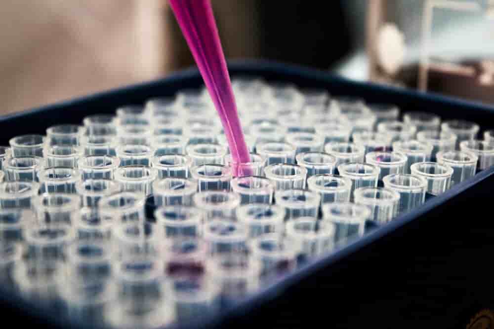 La société biopharmaceutique lyonnaise Poxel, placée en redressement judiciaire le 5 août dernier, vient de dévoiler la feuille de route qui doit lui permettre de se relancer.