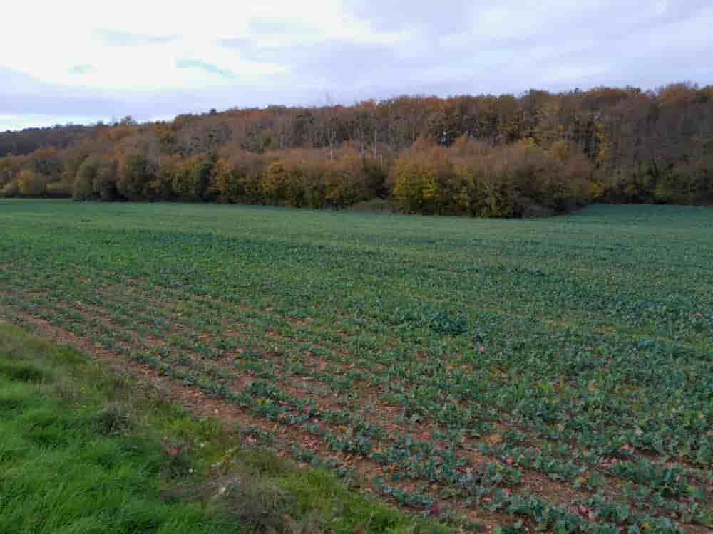 La Commission locale de l'eau tarde à rendre son avis sur le partage de l'eau dans la Vienne sur fond de tensions entre agriculteurs irrigants et écologistes.