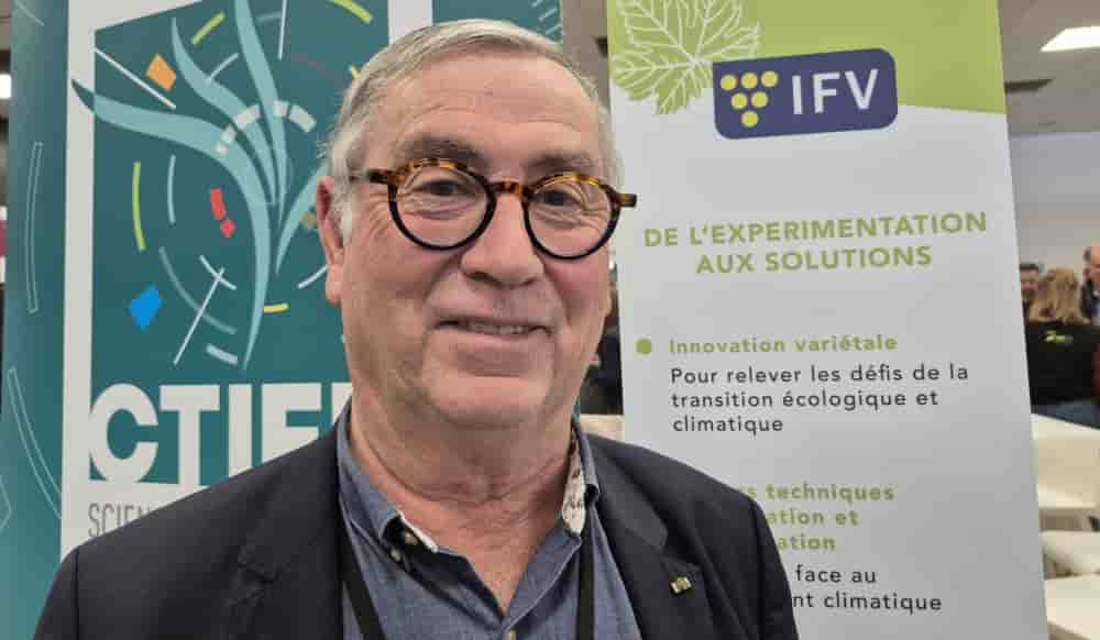 Bernard Angelras, le président de l’Institut Français de la Vigne et du Vin (IFV).