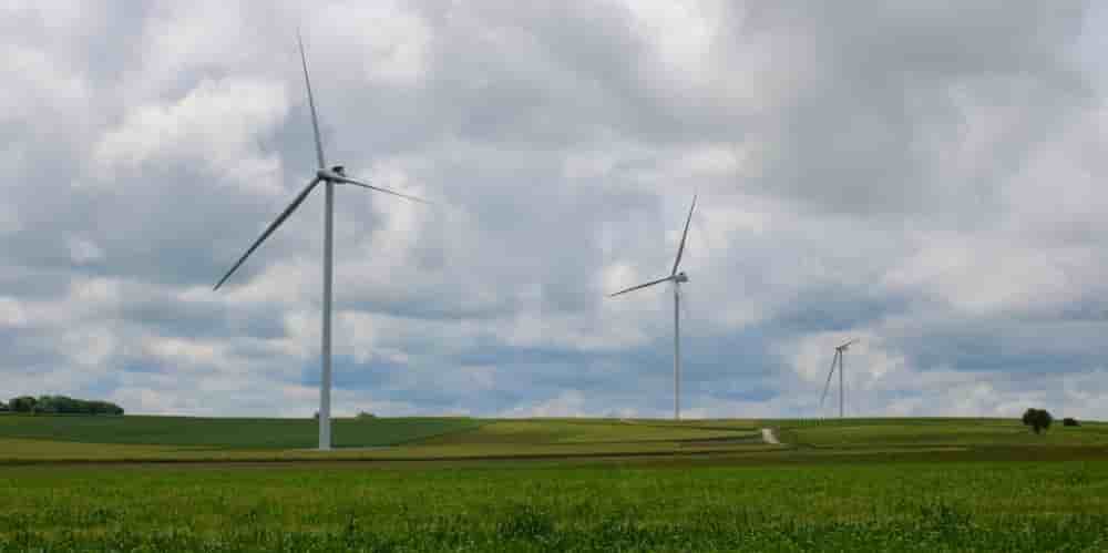 Trois éoliennes installées au sud de la Charente, dans l'air d'appellation du cognac.