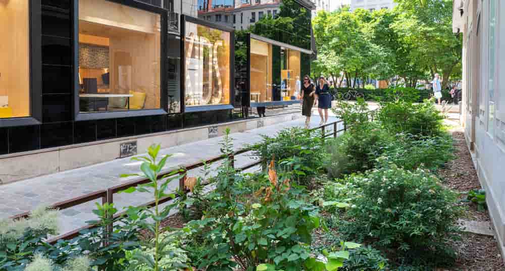 La végétalisation des espaces publics dans le 2e arrondissement de Lyon.