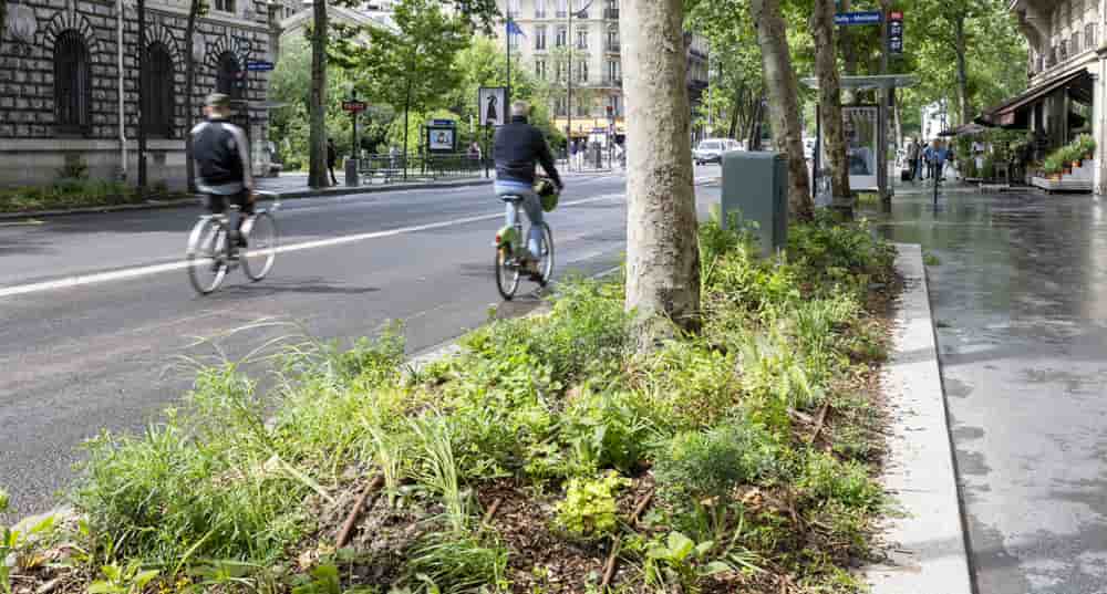 Le Plan local d'urbanisme bioclimatique est une mesure phare d'Anne Hidalgo.
