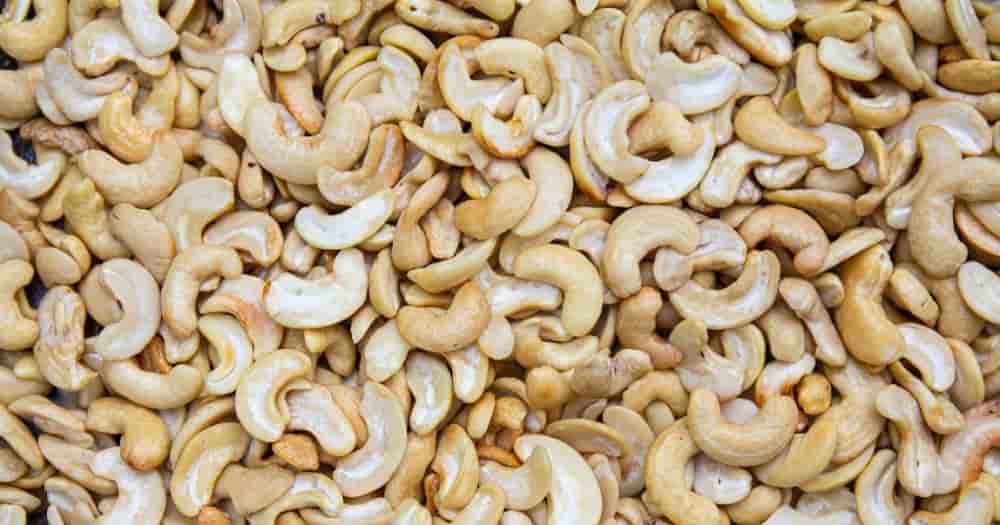 Les exportations ivoiriennes d’amandes de cajou ont fortement progressé, passant de 13 500 tonnes en 2020 à 72 000 t en 2024.