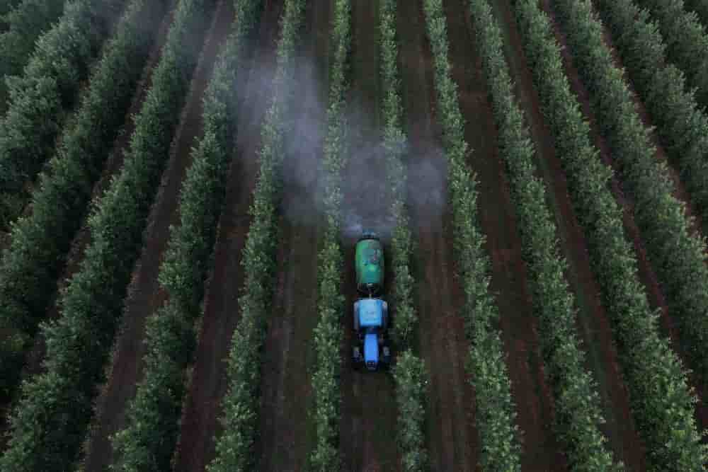 Plusieurs scientifiques et ONG alertent sur les risques pour la santé et l'environnement qui découleraient de ce changement radical.