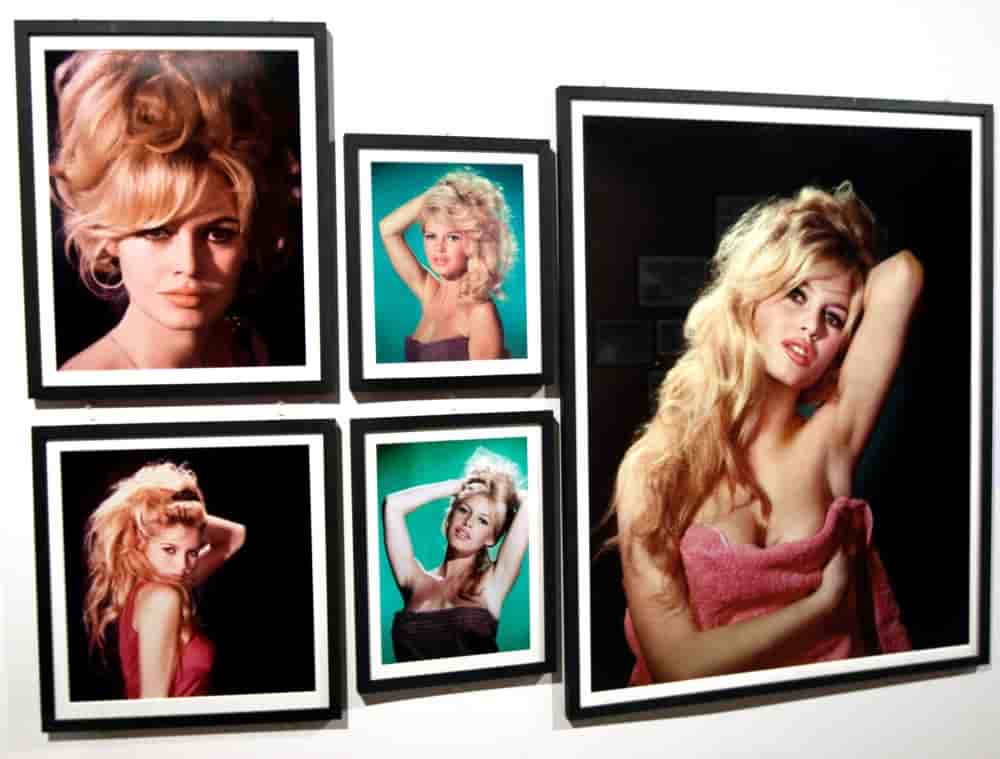 Jeune retraitée des plateaux – elle a 39 ans quand elle s'arrête de tourner –, Brigitte Bardot consacre tout le reste de son existence aux animaux.