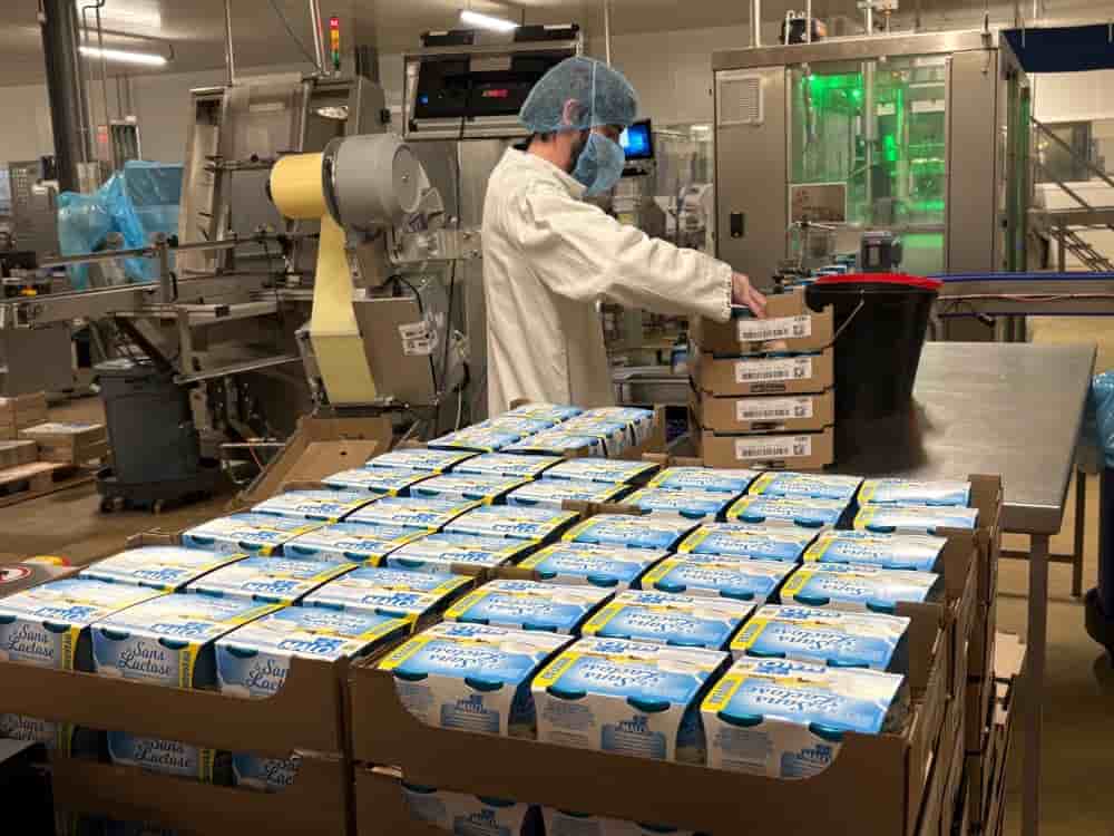 Le nouveau yaourt sans lactose, aux probiotiques, lancé par la marque Malo fait partie des marchés à forte valeur ajoutée que la laiterie cherche à conquérir.