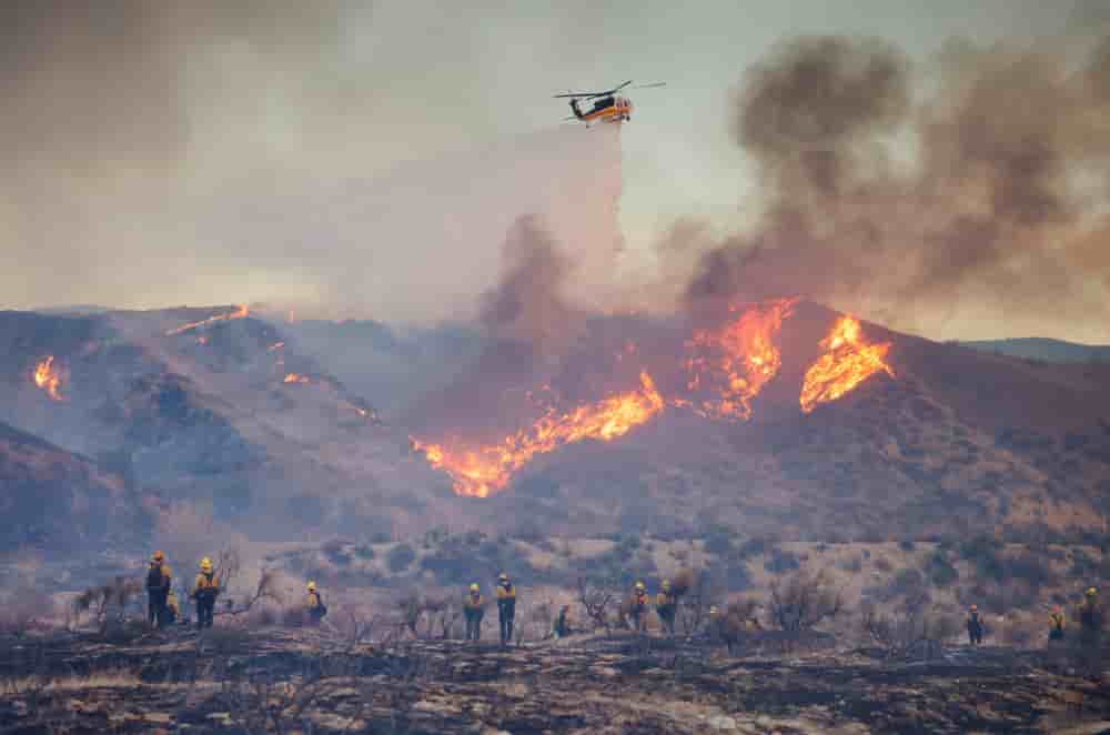 Les incendies de forêt qui ont ravagé la région de Los Angeles en janvier 2025 sont de loin la catastrophe naturelle la plus coûteuse de l'année.