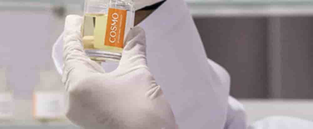 Cosmo International Fragrances consacre 12 millions d'euros pour son site d'extraction installé à Grasse