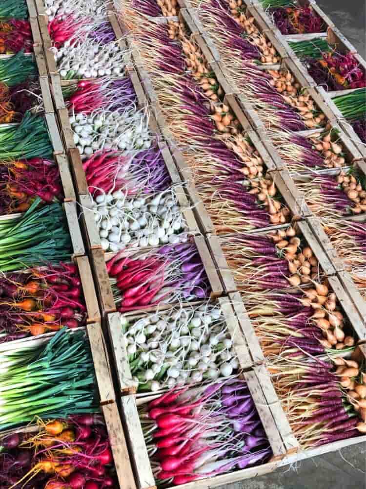 Parmi la dizaine d’exploitations à vendre en Centre-Val de Loire sur la plateforme Eloi.eu, la ferme de mini-légumes d’Éric Roy située à Saint-Genouph en Indre-et-Loire a trouvé un repreneur en seulement quelques semaines.