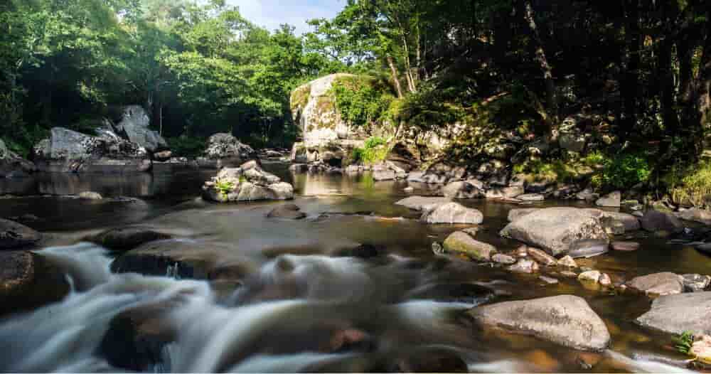 Le pays de Quimperlé recense plus de 900 kilomètres de rivières et de ruisseaux. Ce patrimoine hydraulique est la principale source d’eau potable pour la population.