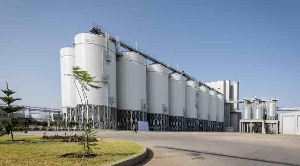 Soufflet Malt construit en Afrique du Sud sa seconde malterie sur le continent, après celle inaugurée en Éthiopie en 2021.