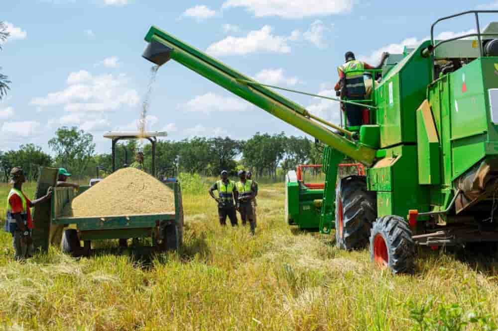 Avec le nouveau plan, la Côte d’Ivoire mise sur une agriculture moderne, résiliente et tournée vers la souveraineté alimentaire.