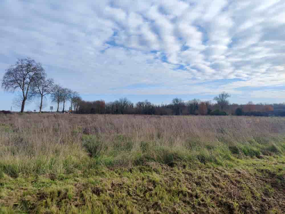 D’anciennes parcelles viticoles où les vignes ont été arrachées en Gironde.