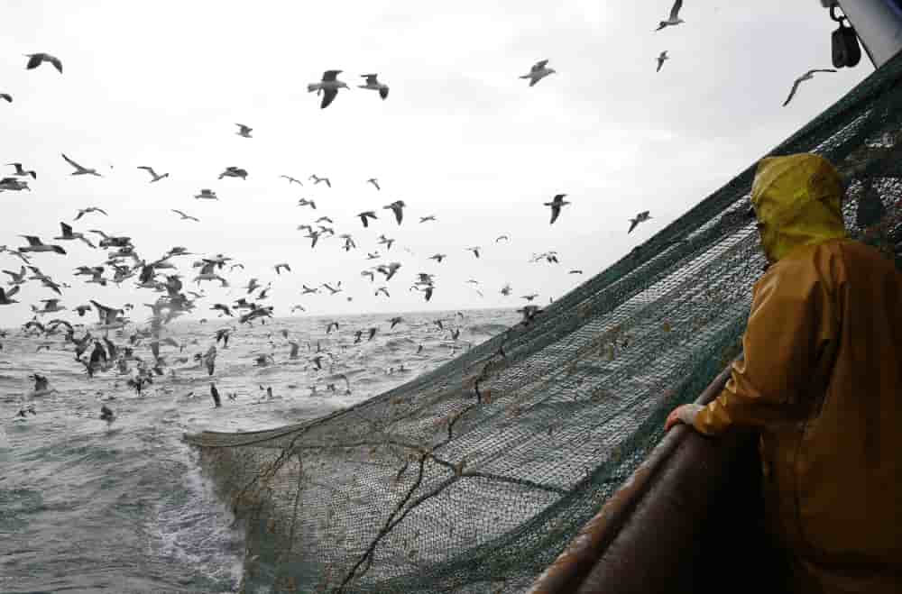 e 21 octobre 2013, des pêcheurs à bord du chalutier « Nicolas Jeremy », basé à Boulogne-sur-Mer, relèvent leurs filets au large des côtes du nord de la France.