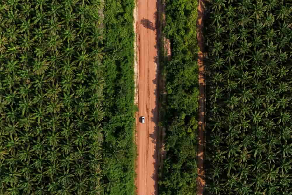 L'Indonésie saisit l'OMC pour suspendre certaines concessions à l'UE, dénonçant les restrictions européennes sur l'huile de palme.