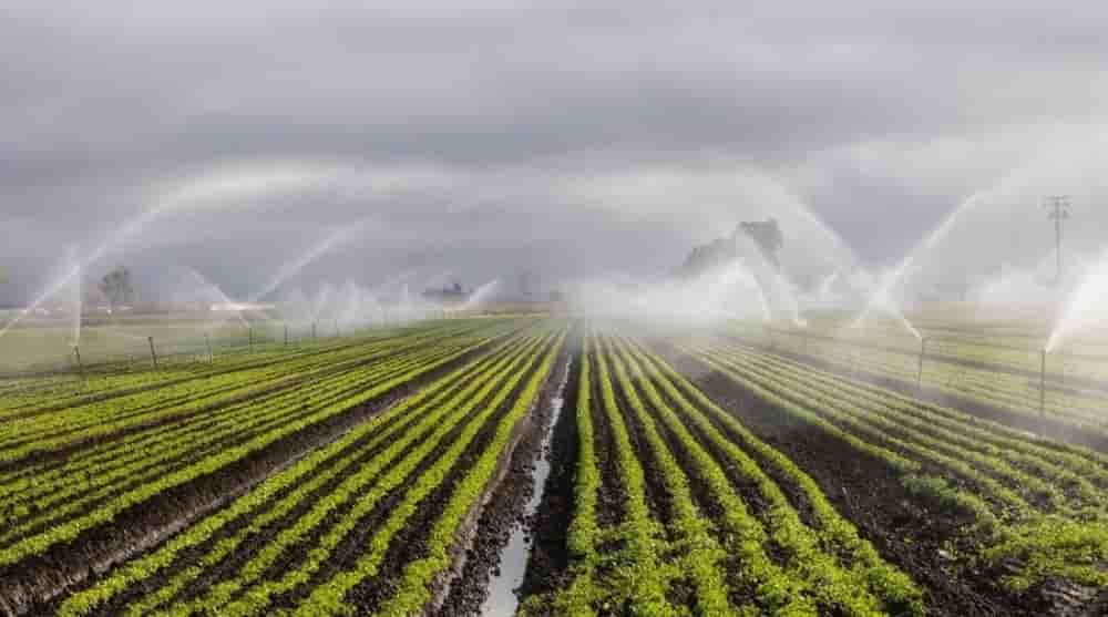 Une grande partie de l’agriculture nigériane repose sur les pluies, ce qui rend les rendements sensibles aux aléas climatiques.