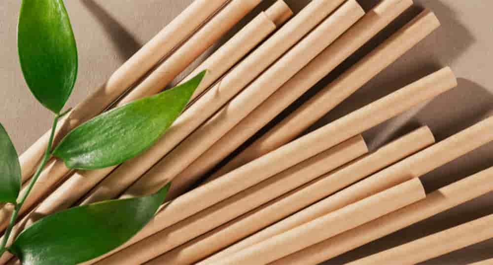 Soyez Frères était le leader européen sur le marché de la paille plastique à usage unique. L'entreprise pouvait en produire chaque année jusqu’à 7 milliards d’unités, et ce jusqu’en 2021.