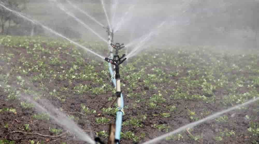L’agriculture nigérienne reste très largement tributaire de la pluviométrie, ce qui rend le secteur extrêmement vulnérable aux chocs climatiques.