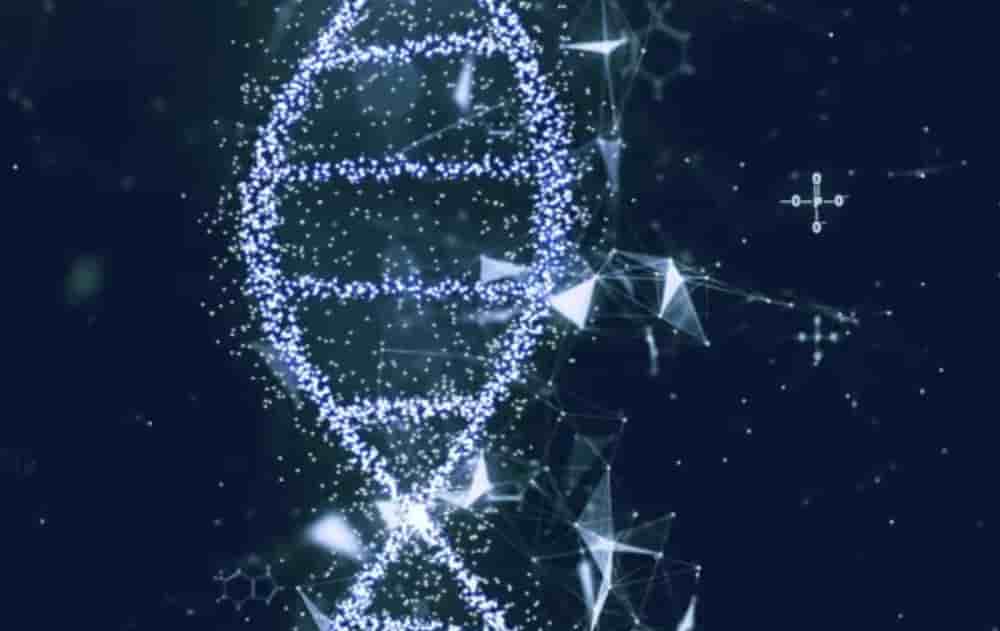 PearCode, spin-off du laboratoire de recherche Informatique, Signaux et Systèmes de Sophia Antipolis (I3S), vient de mettre sur le marché une première solution de service d'archivage sur ADN synthétique