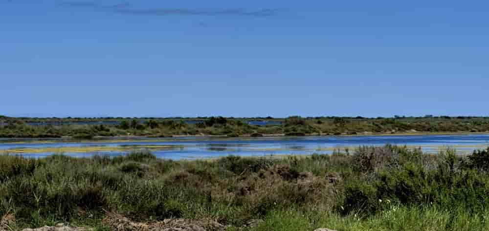 Lancée en 2023, l’opération Mission Nature a soutenu 64 projets de restauration écologique en France métropolitaine et outre-mer, soit un financement de 22 millions d’euros.