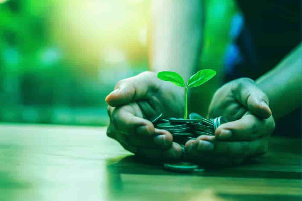 finance verte