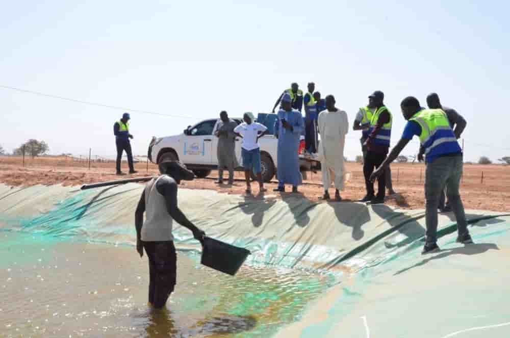 Suivi d’un projet aquacole sur site par l’Agence nationale de l’aquaculture du Sénégal.