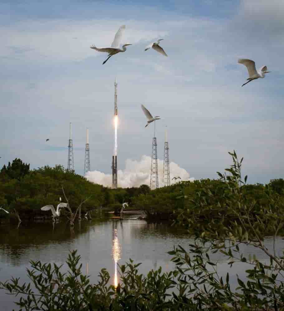 Décollage d’un lanceur Falcon 9 à proximité du Merritt Island National Wildlife Refuge.
