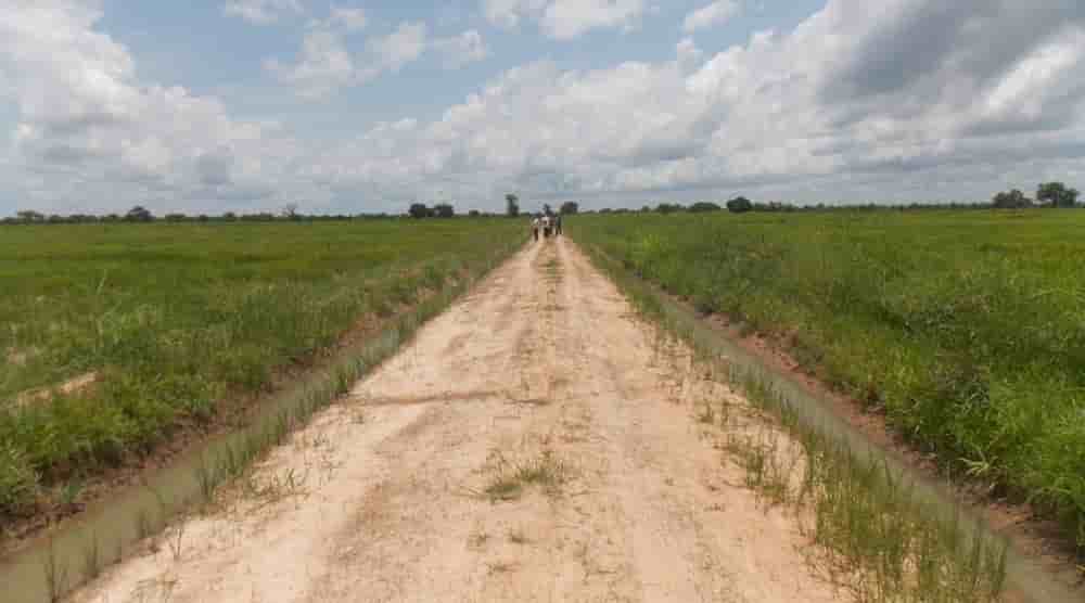 L’initiative prévoit la réhabilitation et l’entretien de plus de 1 000 km de routes rurales dans plusieurs régions agricoles clés.