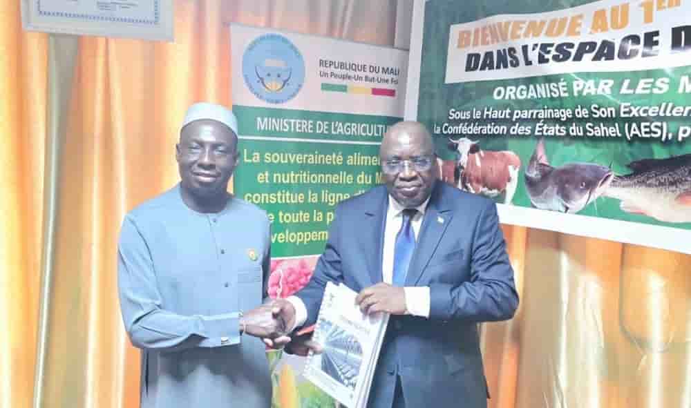 L’agriculture représente encore 17% du PIB du continent africain, mais les gains de productivité demeurent limités.