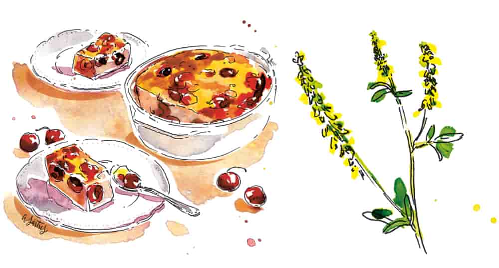 La recette du clafoutis aux cerises et au mélilot d'Anne Etorre.