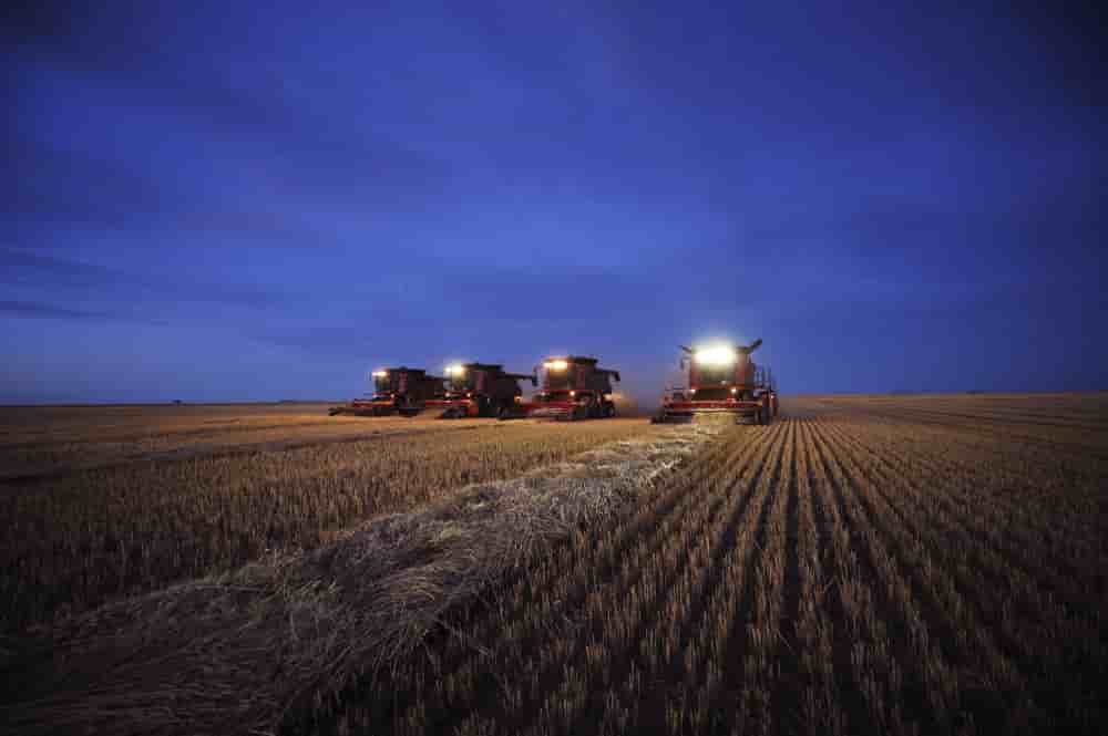 L'indice FAO des prix des céréales a progressé de 2,6 % en mai par rapport à avril et de près de 5 % sur un an.