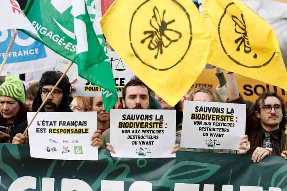 La commission des Affaires économiques du Sénat veut la réintroduction dérogatoire de deux insecticides interdits en France.