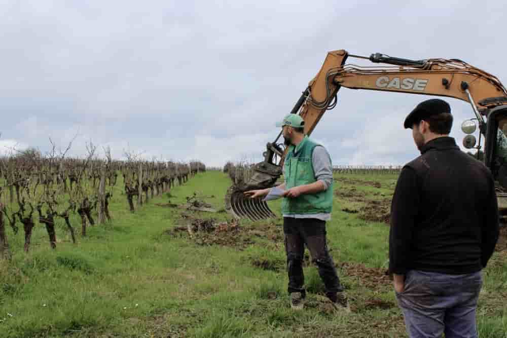 En Gironde, l'arrachage des vignes a débuté en 2024.