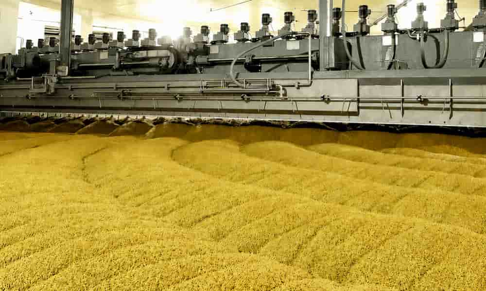 L'Ethiopie veut aligner la recherche agronomique et l’investissement industriel sur les besoins des agriculteurs, pour faire monter en gamme toute la chaîne de valeur de l’orge brassicole.