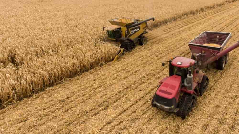 La stratégie prévoit dans un premier temps la mise en exploitation de 4 500 ha destinés à produire environ 9 000 t de semences certifiées, qui serviront à soutenir une production commerciale de 180 000 t de blé.