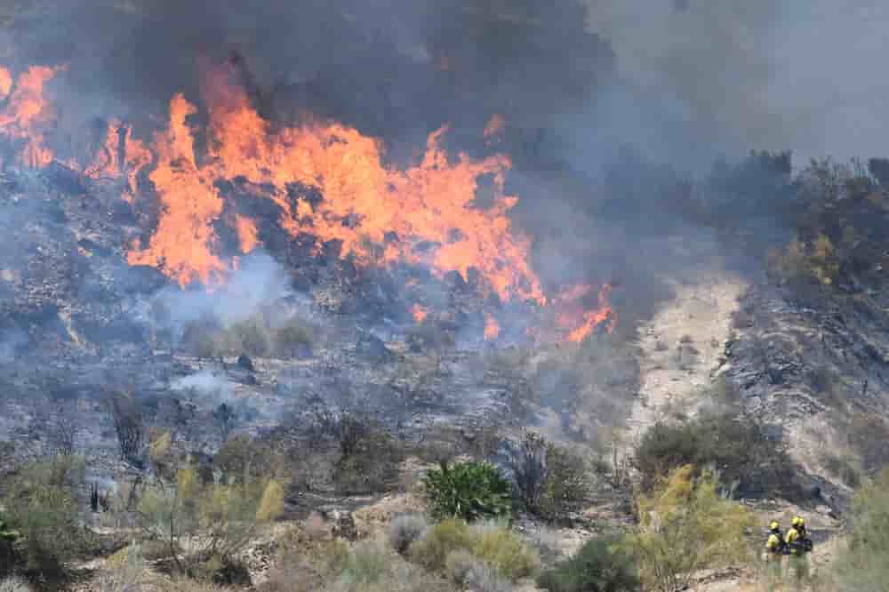 Des pompiers du service anti-incendie d’Andalousie luttent contre un feu de forêt meurtrier près de Bédar, dans la province d’Almería (Espagne), le 10 juillet 2026.