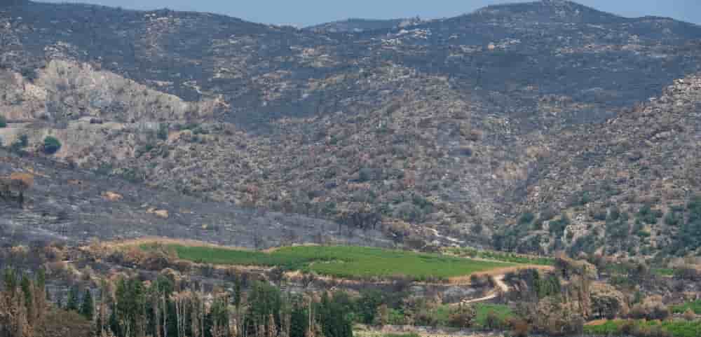 Le violent incendie qui a ravagé le centre des Pyrénées-Orientales début juillet 2026 laisse un paysage désolé.