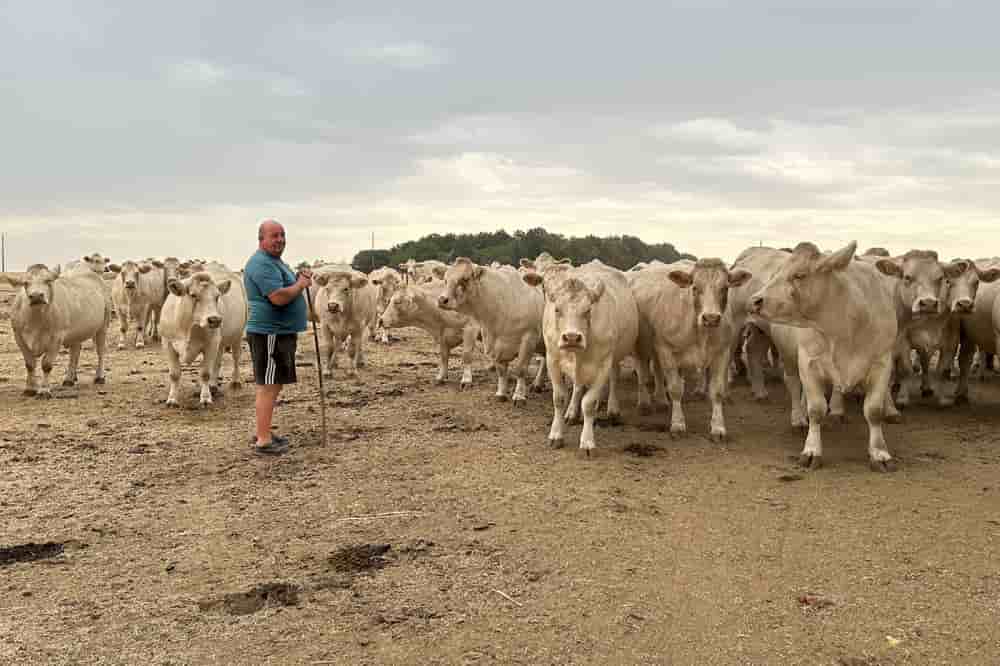 L'exploitation agricole de Cédric Mandin à Sainte-Cécile.