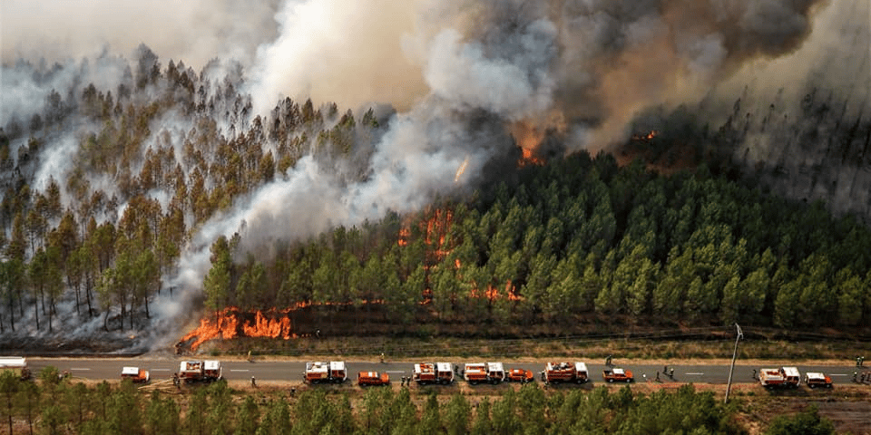 Incendie de Landiras. Reprise en août 2022
