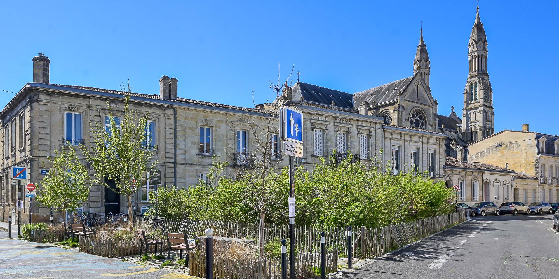La première micro-forêt plantée à Bordeaux en 2021 pousse petit à petit sur 180 m2 au sud de la ville.