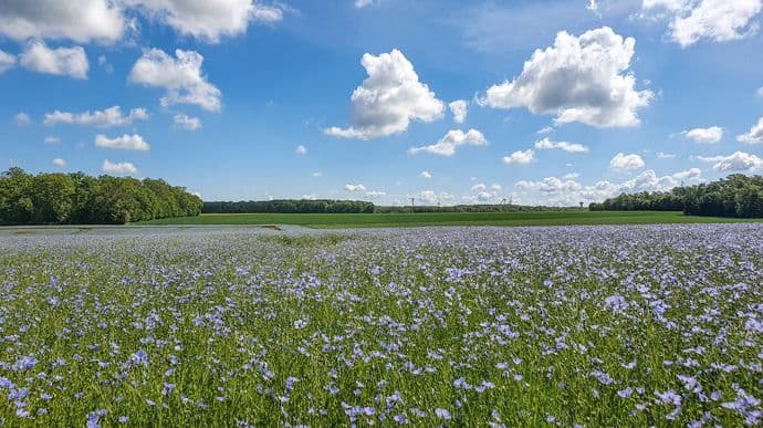 Safer Normandie jeunes agriculteurs
