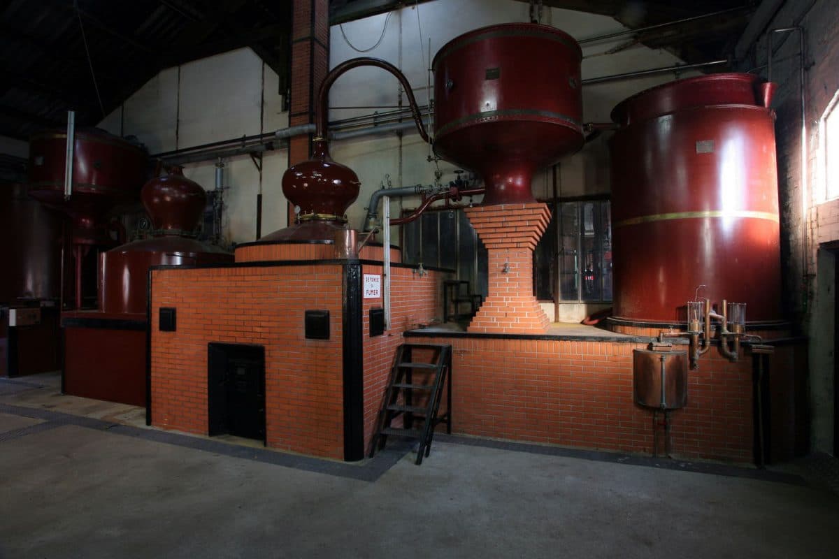 Trois nouveaux spiritueux passent au travers des alambics de la distillerie de Cormeilles (Eure).